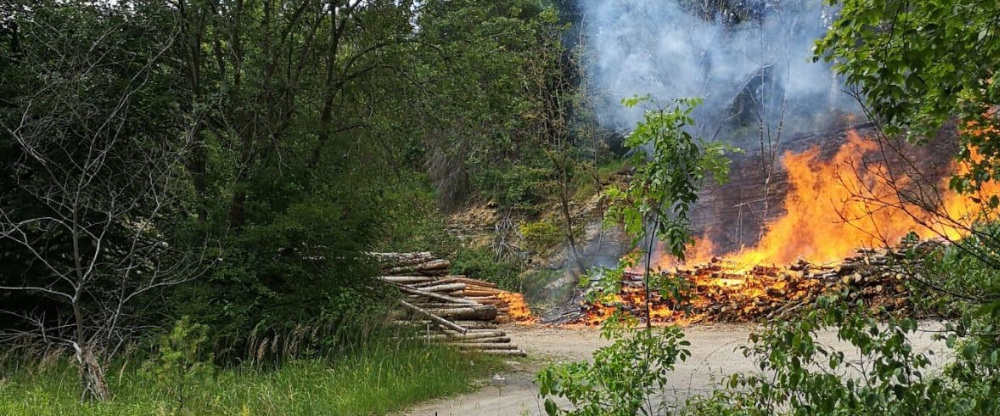 Einsatz [09] Brand Sammelplatz&nbsp;Holz