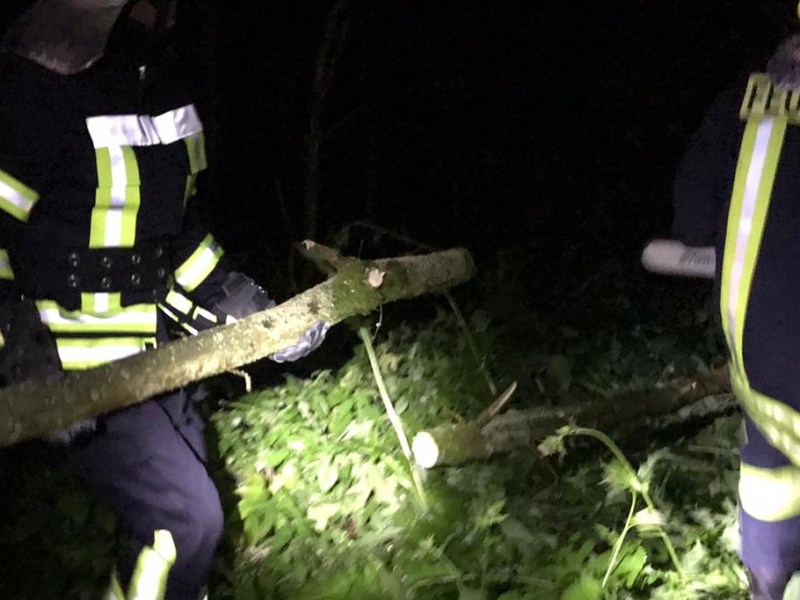 Einsatz [09] 11.08.2021 – Baum auf&nbsp;Straße